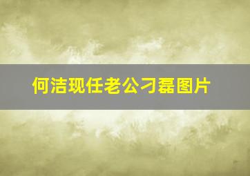 何洁现任老公刁磊图片