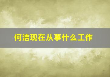 何洁现在从事什么工作