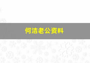 何洁老公资料