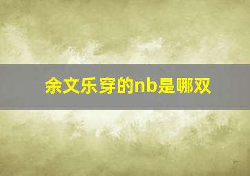 余文乐穿的nb是哪双