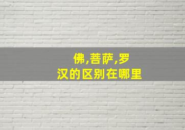 佛,菩萨,罗汉的区别在哪里