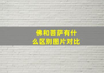 佛和菩萨有什么区别图片对比