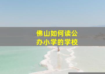 佛山如何读公办小学的学校