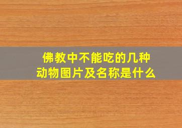 佛教中不能吃的几种动物图片及名称是什么