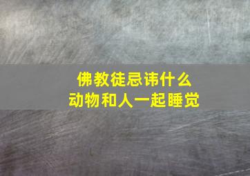 佛教徒忌讳什么动物和人一起睡觉