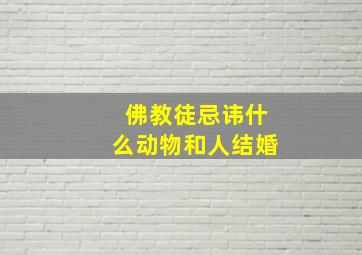 佛教徒忌讳什么动物和人结婚