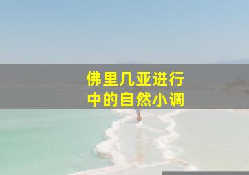 佛里几亚进行中的自然小调