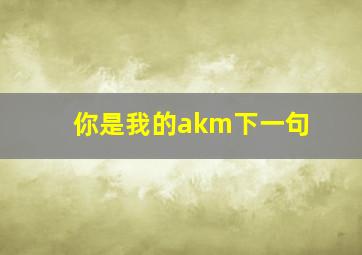 你是我的akm下一句