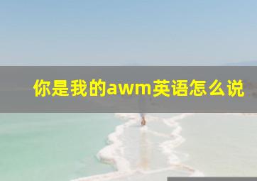 你是我的awm英语怎么说