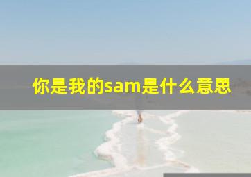 你是我的sam是什么意思