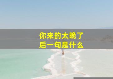 你来的太晚了后一句是什么