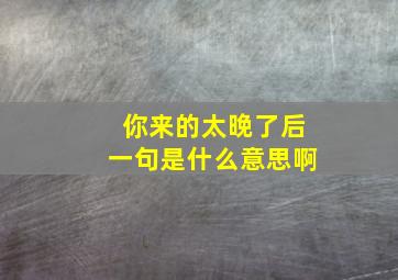 你来的太晚了后一句是什么意思啊