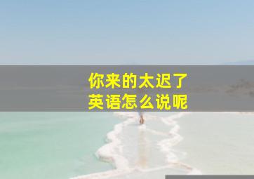 你来的太迟了英语怎么说呢