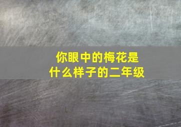 你眼中的梅花是什么样子的二年级