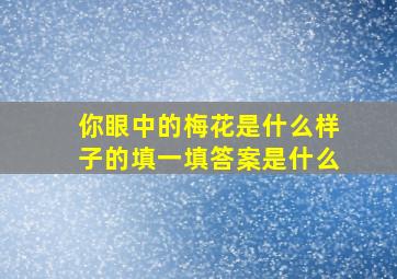 你眼中的梅花是什么样子的填一填答案是什么