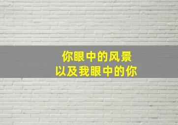 你眼中的风景以及我眼中的你