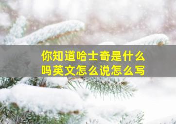 你知道哈士奇是什么吗英文怎么说怎么写