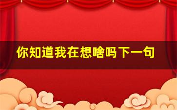 你知道我在想啥吗下一句