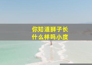 你知道狮子长什么样吗小度