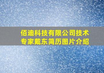 佰迪科技有限公司技术专家戴东简历图片介绍