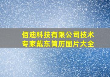 佰迪科技有限公司技术专家戴东简历图片大全