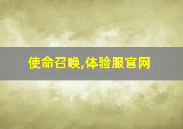 使命召唤,体验服官网