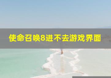 使命召唤8进不去游戏界面