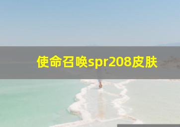 使命召唤spr208皮肤