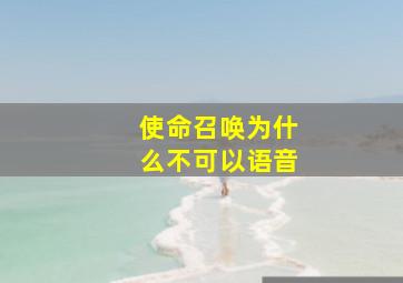 使命召唤为什么不可以语音