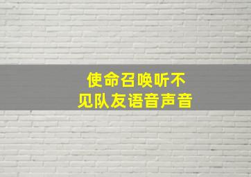 使命召唤听不见队友语音声音