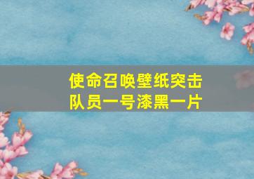 使命召唤壁纸突击队员一号漆黑一片