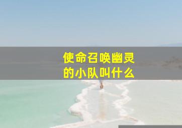 使命召唤幽灵的小队叫什么