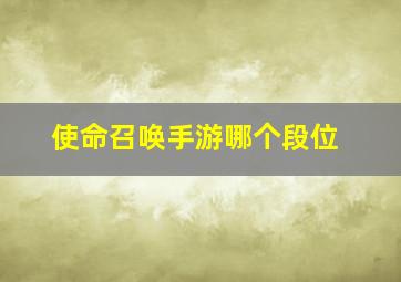 使命召唤手游哪个段位