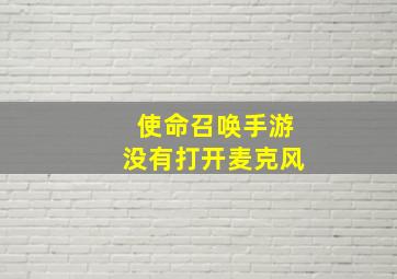 使命召唤手游没有打开麦克风