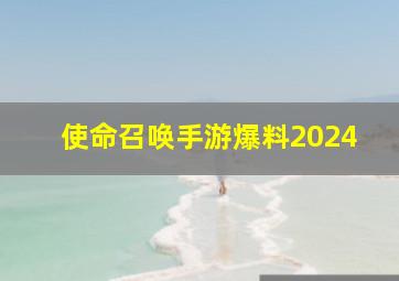 使命召唤手游爆料2024