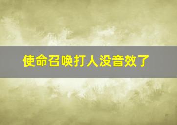 使命召唤打人没音效了