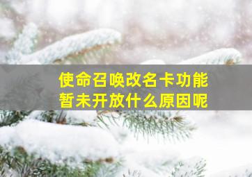 使命召唤改名卡功能暂未开放什么原因呢