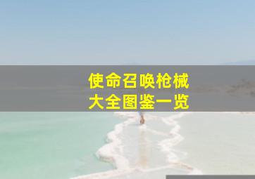 使命召唤枪械大全图鉴一览