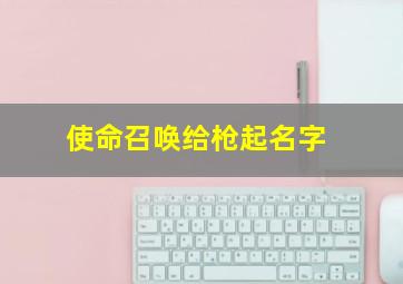 使命召唤给枪起名字