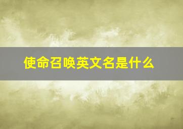 使命召唤英文名是什么