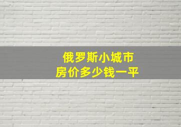 俄罗斯小城市房价多少钱一平