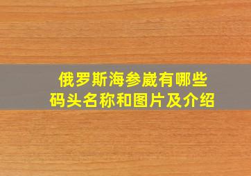 俄罗斯海参崴有哪些码头名称和图片及介绍