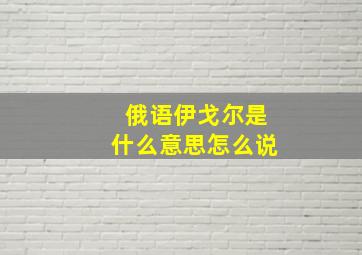 俄语伊戈尔是什么意思怎么说