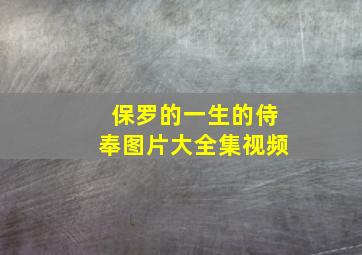 保罗的一生的侍奉图片大全集视频