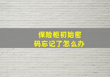 保险柜初始密码忘记了怎么办