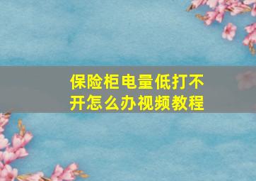 保险柜电量低打不开怎么办视频教程