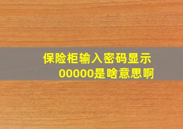 保险柜输入密码显示00000是啥意思啊