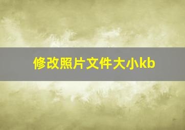 修改照片文件大小kb