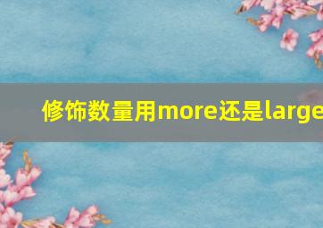 修饰数量用more还是large