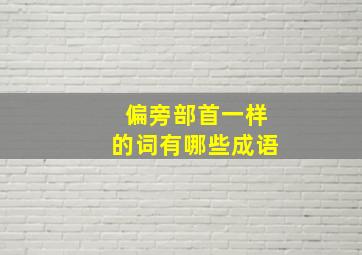 偏旁部首一样的词有哪些成语